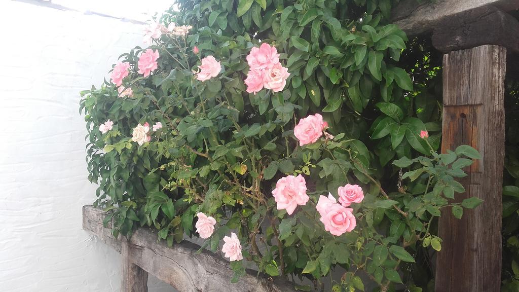 Finca El Abuelo Μπαρβάτε Εξωτερικό φωτογραφία